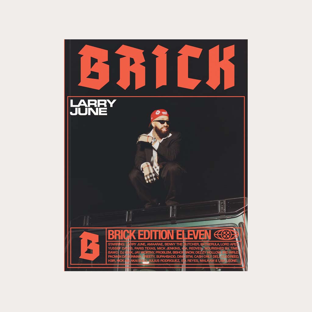 Brick #11 Larry June cover