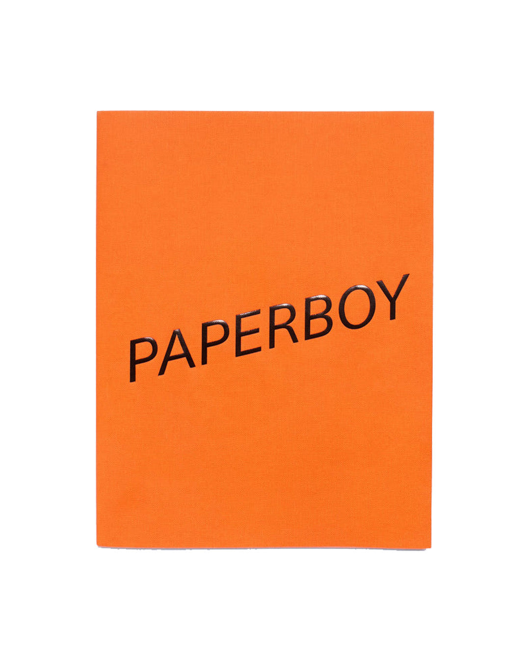 Paperboy #7