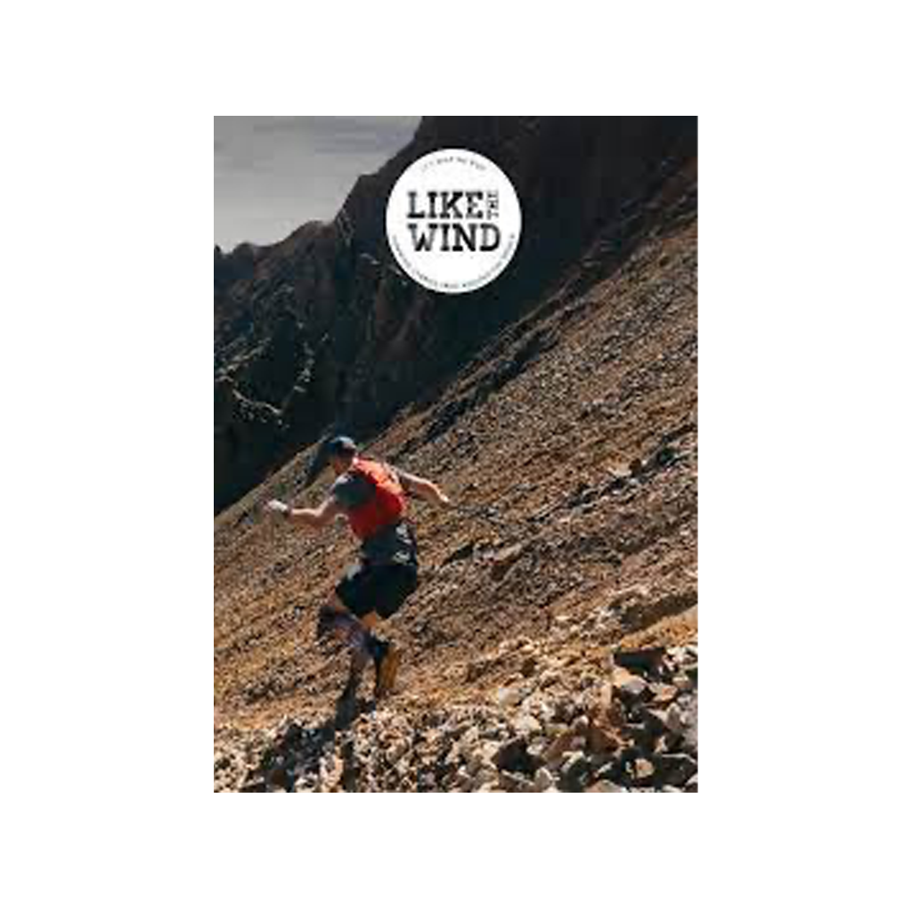 Like the Wind #33