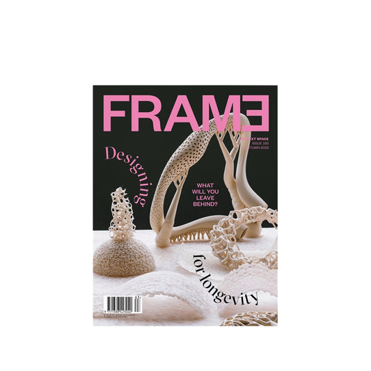 Frame #163 cover with artistic sculptures