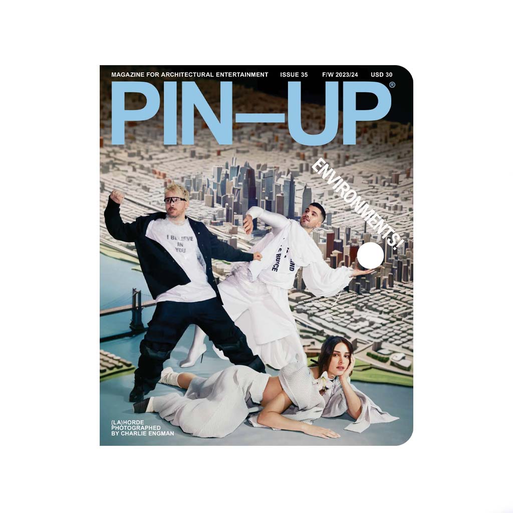 Pin-Up #35 cover