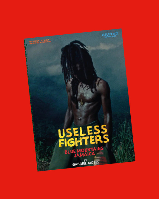 Useless Fighters #2 Gabriel Moses cover