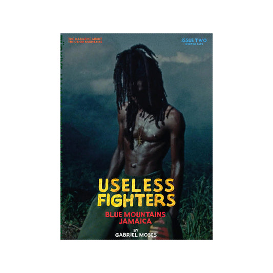 Useless Fighters Gabriel Moses cover