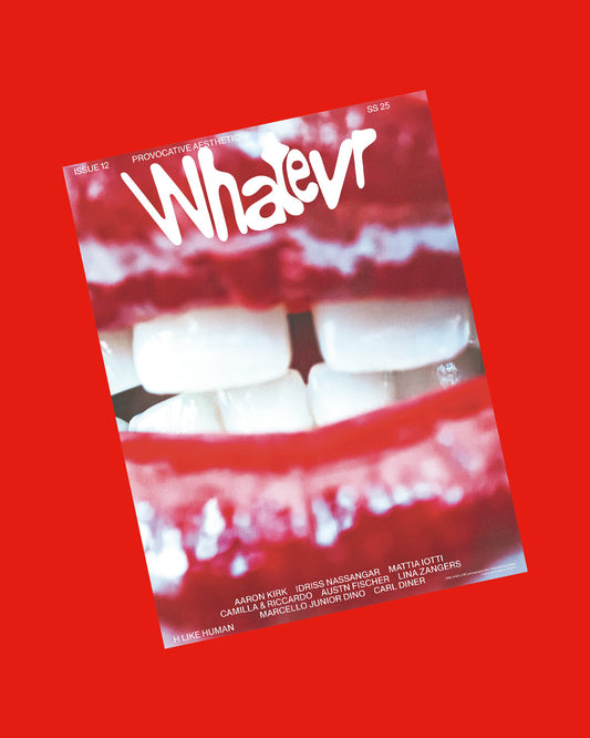 Whatevr Fanzine #12 cover